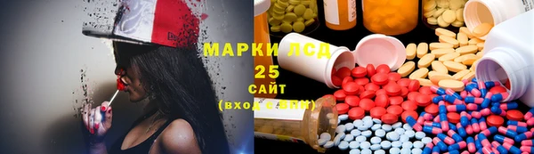 спайс Щигры