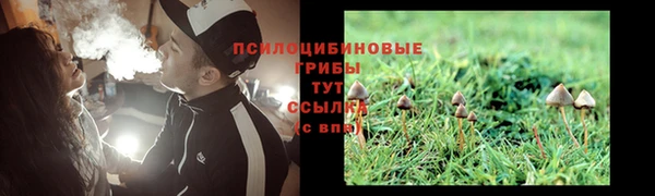 не бодяженный Надым