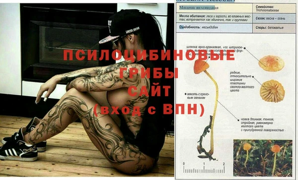 не бодяженный Надым