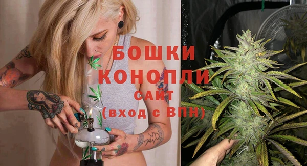 не бодяженный Надым