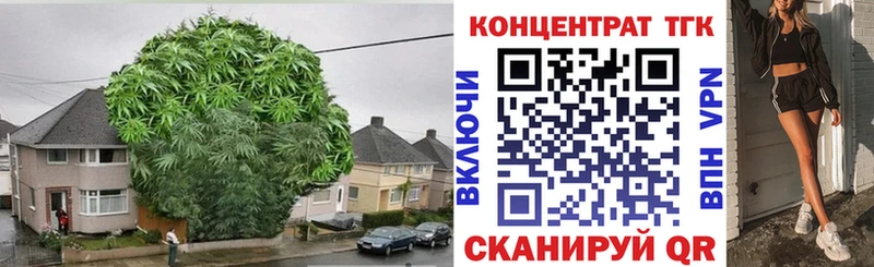 закладка  Питкяранта  Дистиллят ТГК гашишное масло 