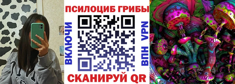 Галлюциногенные грибы прущие грибы  купить наркотик  дарк нет как зайти  Питкяранта 